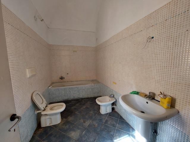 photogallery 7
