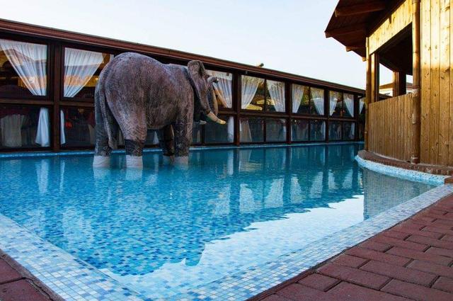 #15979 Complesso immobiliare ricettivo con abitazione ristorante piscina e sala ballo in vendita - foto 2