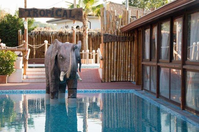 #15979 Complesso immobiliare ricettivo con abitazione ristorante piscina e sala ballo in vendita - foto 4
