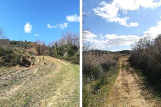 #15987 Terreno agricolo con locali rurali in vendita - foto 2
