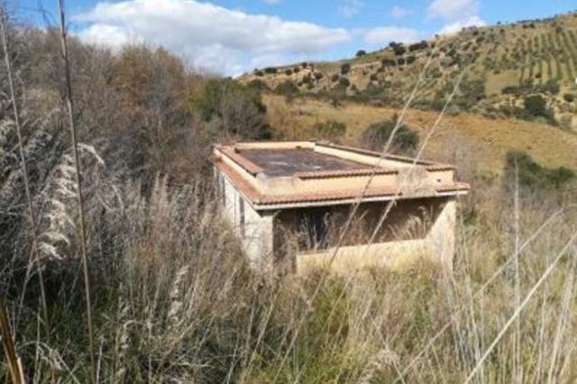 #15987 Terreno agricolo con locali rurali in vendita - foto 3