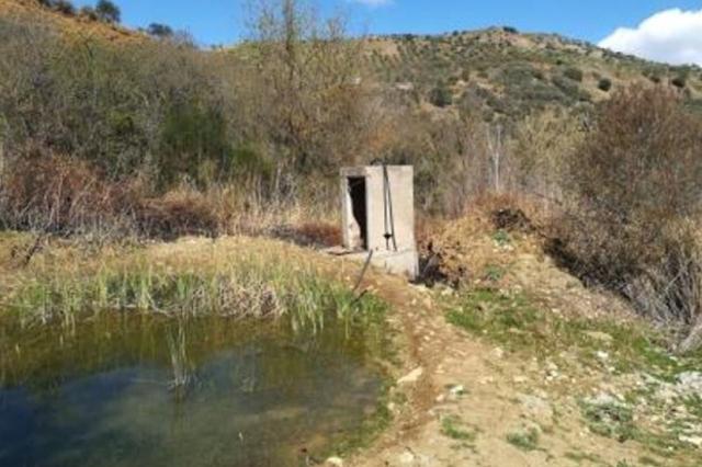 #15987 Terreno agricolo con locali rurali in vendita - foto 6