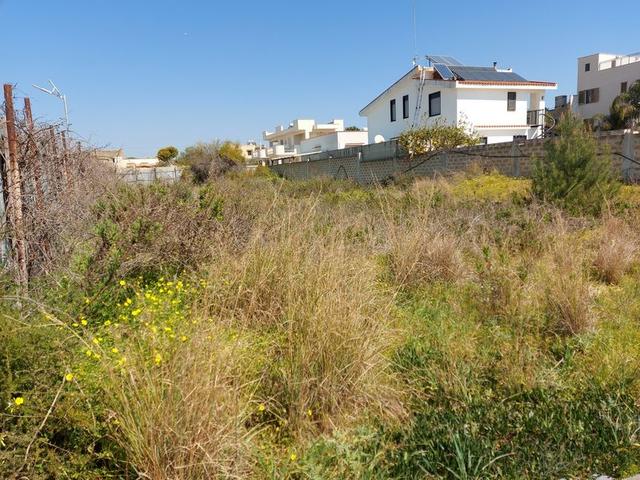 #15998 Appezzamento di terreno e n. 4 lotti edificabili in vendita - foto 5