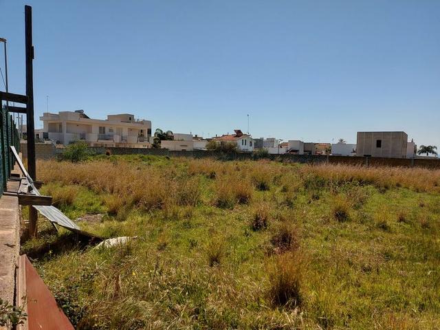 #15998 Appezzamento di terreno e n. 4 lotti edificabili in vendita - foto 10