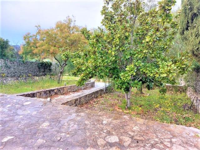 #16076 Appezzamento di terreno con piccolo locale di deposito in vendita - foto 7