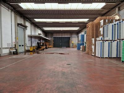 Fabbricati industriali in vendita