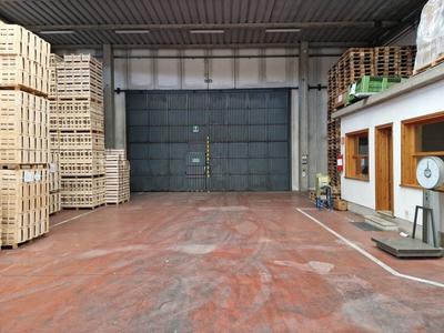 Fabbricati industriali in vendita