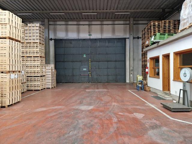 #16113 Complesso produttivo agroalimentare in vendita - foto 14