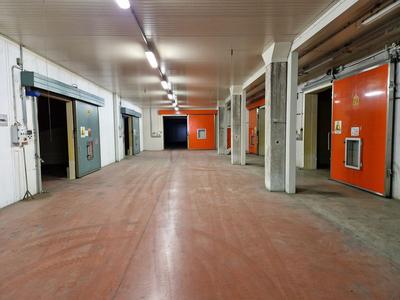 Fabbricati industriali in vendita