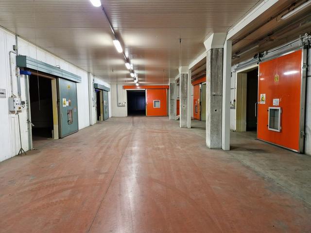 #16113 Complesso produttivo agroalimentare in vendita - foto 25