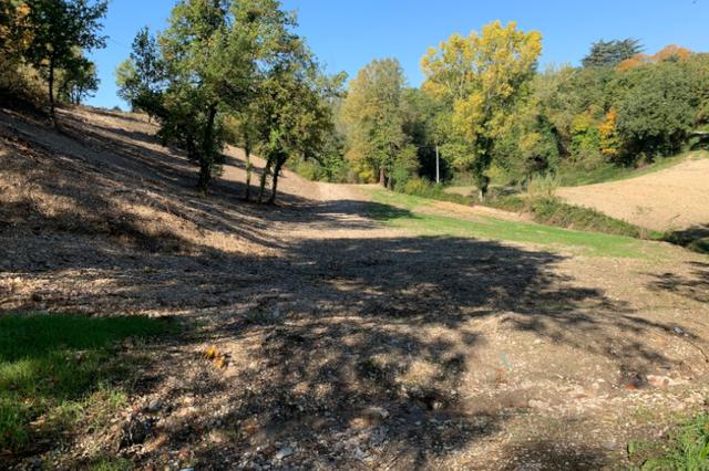 #16119 Terreno agricolo in vendita - foto 1