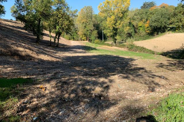 #16119 Terreno agricolo in vendita - foto 2