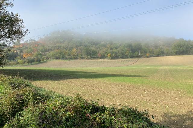 #16120 Terreno agricolo in vendita - foto 1