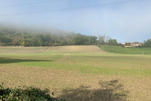 #16120 Terreno agricolo in vendita - foto 2