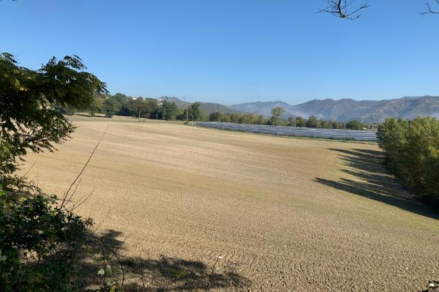 #16121 Terreni agricoli in vendita - foto 1