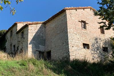 Agricoli in vendita