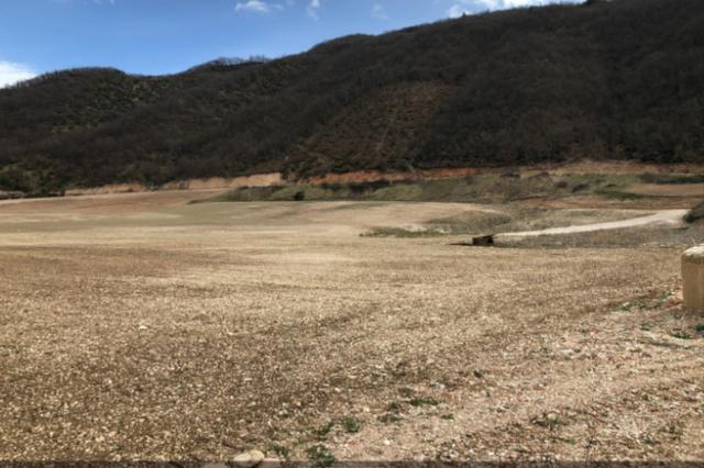 #16128 Terreno agricolo in vendita - foto 4