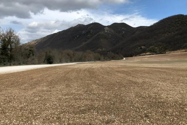 #16128 Terreno agricolo in vendita - foto 5