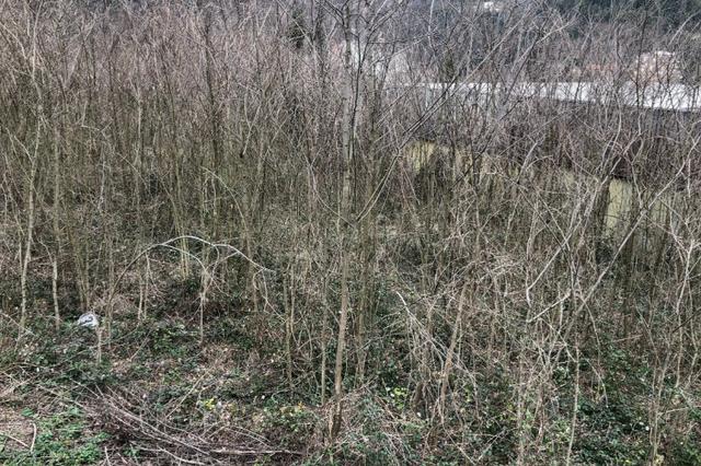 #16131 Terreni agricoli in vendita - foto 1