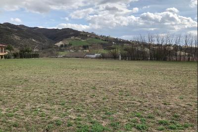 Agricoli in vendita