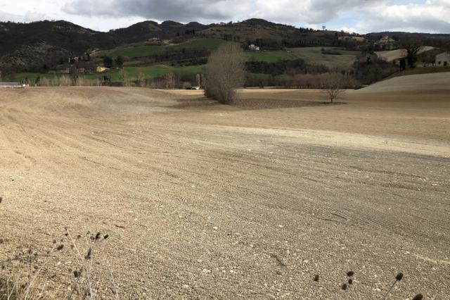 #16133 Terreno edificabile in vendita - foto 4