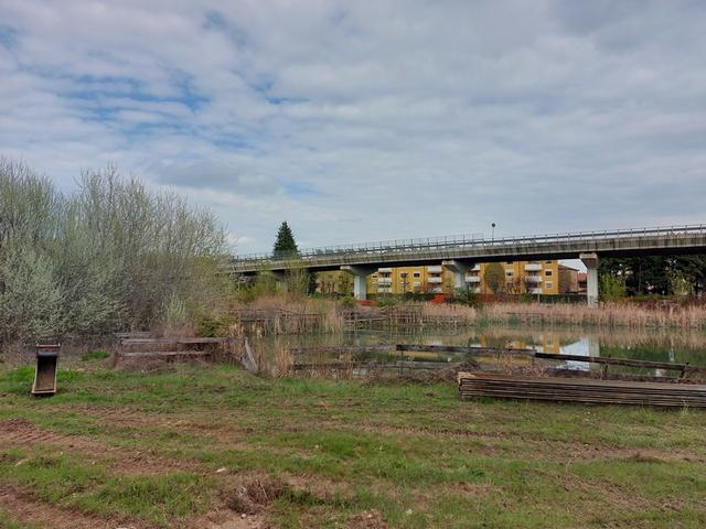 #16210 Terreno edificabile di 14.484 mq in vendita - foto 4