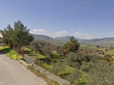 Agricoli in vendita