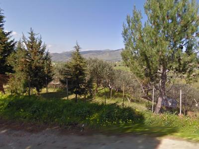 Agricoli in vendita