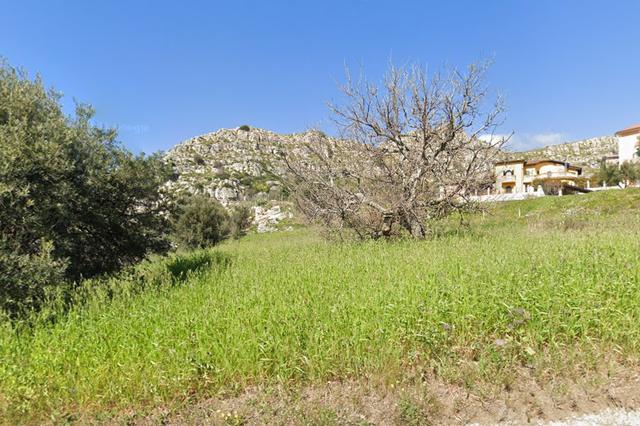 #18165 Terreno agricolo di 21.790 mq in vendita - foto 4