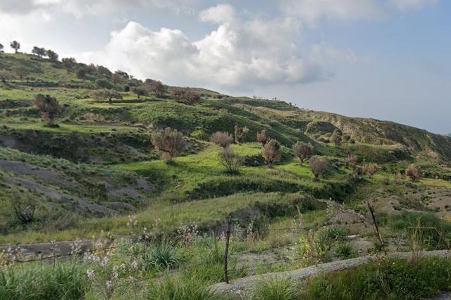 #18167 Terreno agricolo di 15.750 mq in vendita - foto 4