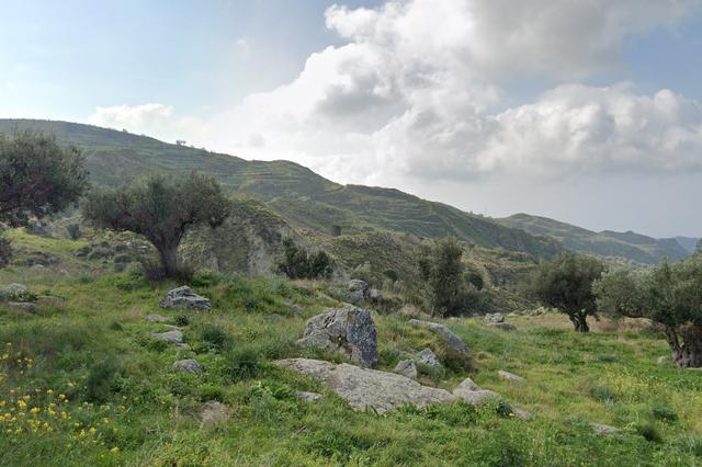 #18172 Terreno agricolo di 55.100 mq in vendita - foto 4