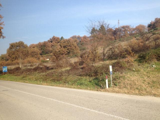 #18353 Terreno edificabile e agricolo di 38760 mq in vendita - foto 3