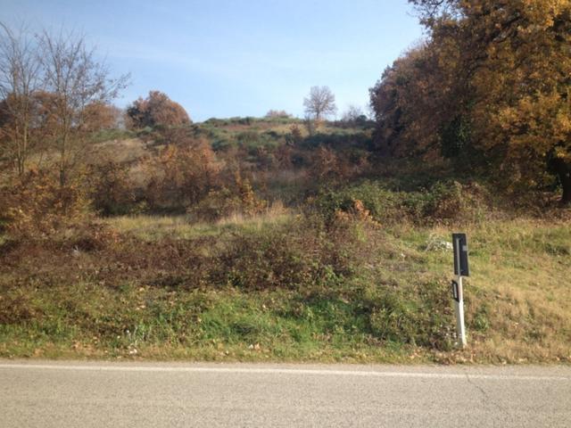 #18353 Terreno edificabile e agricolo di 38760 mq in vendita - foto 4