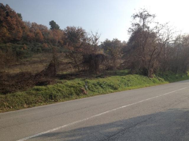 #18353 Terreno edificabile e agricolo di 38760 mq in vendita - foto 5