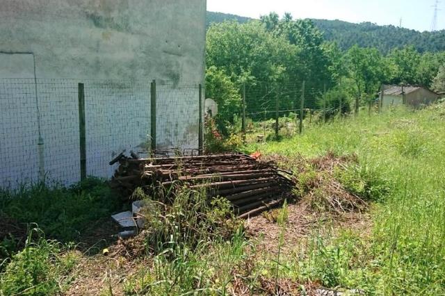 #18406 Appezzamento agricolo in zona collinare in vendita - foto 2