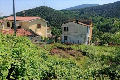 Agricoli in vendita