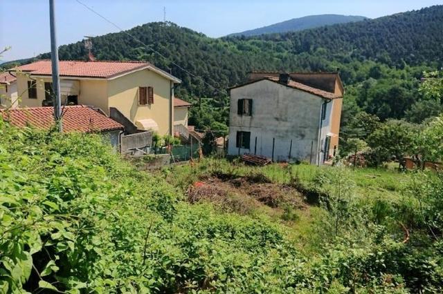 #18406 Appezzamento agricolo in zona collinare in vendita - foto 3
