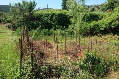Agricoli in vendita