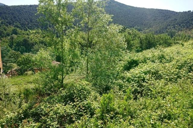 #18406 Appezzamento agricolo in zona collinare in vendita - foto 5