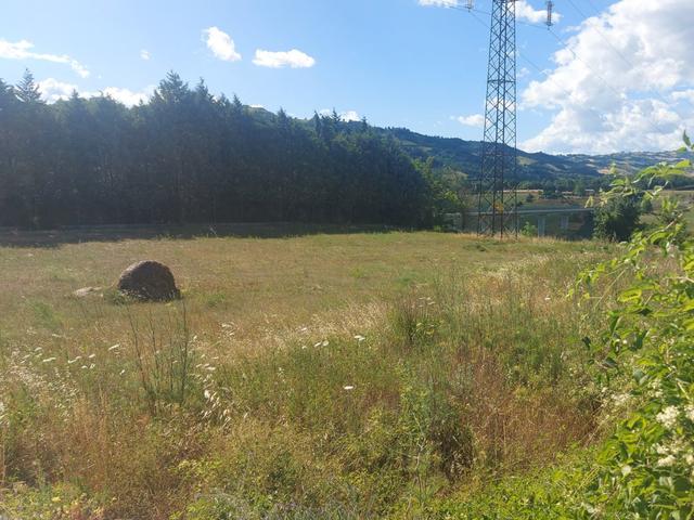 #18423 Capannone artigianale con terreni agricoli in vendita - foto 17