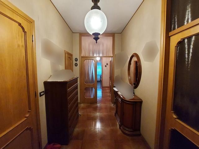 photogallery 5