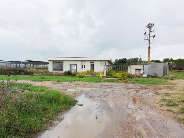 photogallery 15