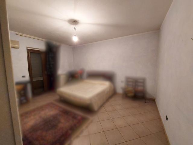 photogallery 7