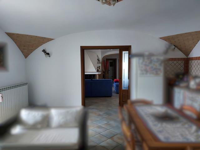 photogallery 16