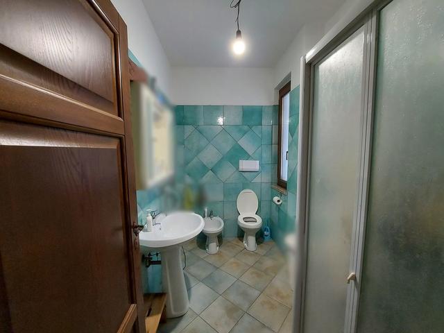 photogallery 19