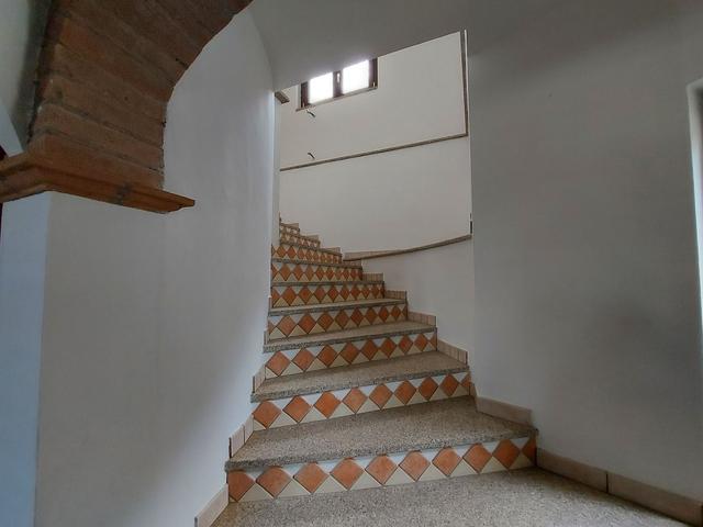 photogallery 21