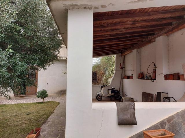 photogallery 31