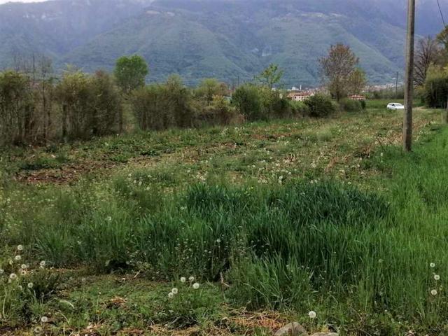 #18514 Terreni agricoli di 8180 mq in vendita - foto 3