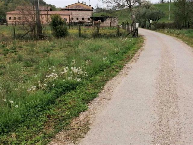 #18514 Terreni agricoli di 8180 mq in vendita - foto 5