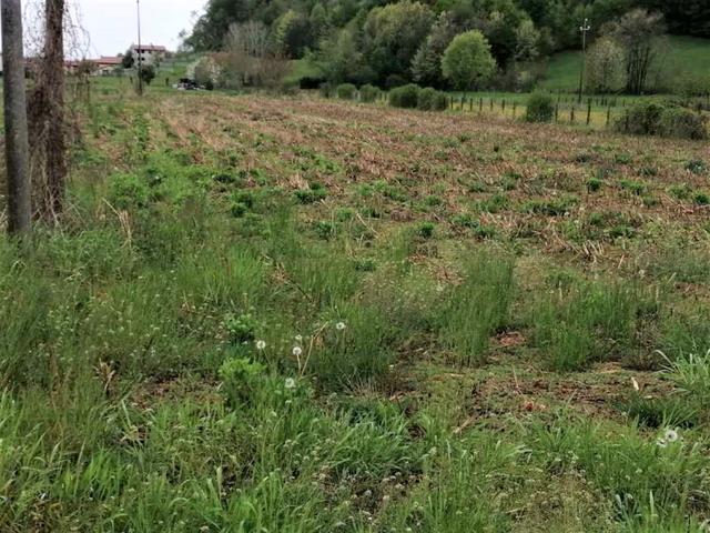 #18514 Terreni agricoli di 8180 mq in vendita - foto 6